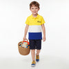Boys Regular Fit Polo Neck Colorblocked T-Shirt
