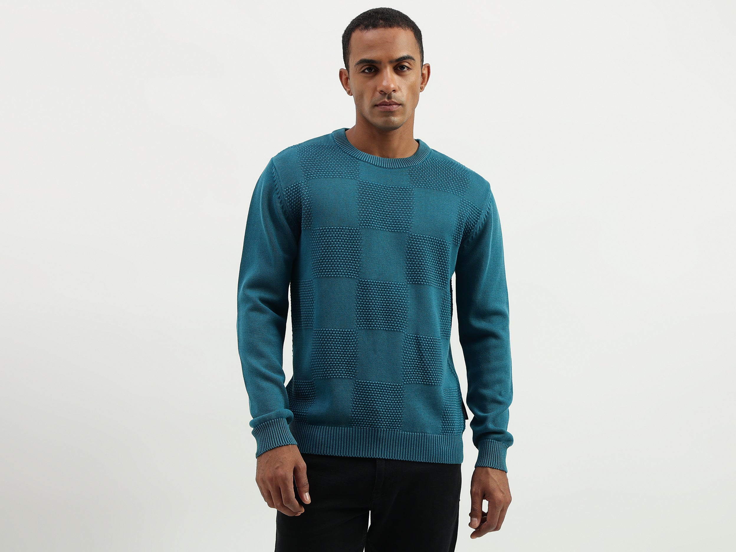 Regular Fit Round Neck Patterned/Textured Sweater