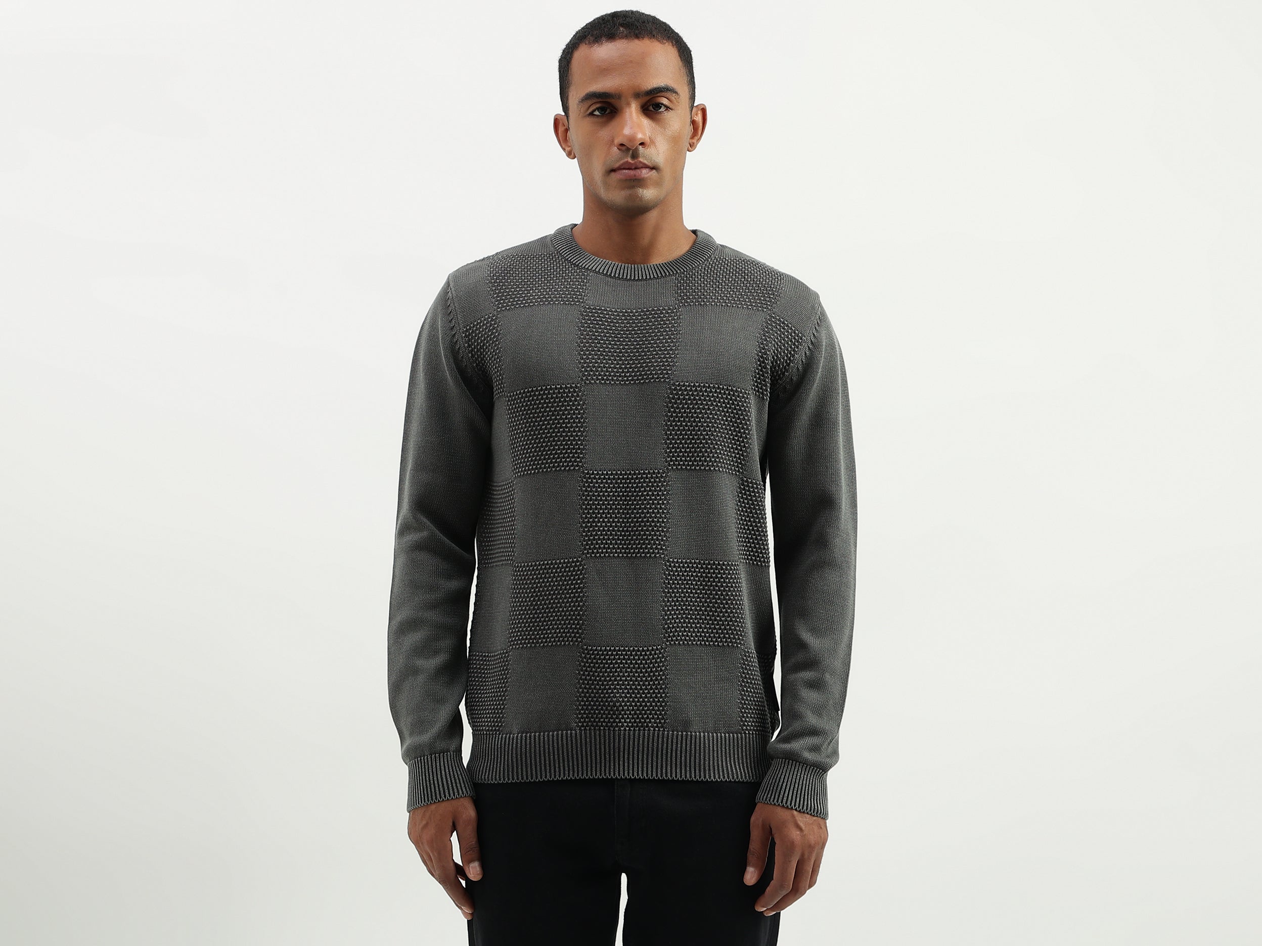 Regular Fit Round Neck Patterned/Textured Sweater