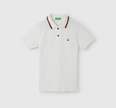 Regular Fit Polo Collar Solid T-Shirt