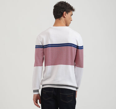 Regular Fit Crew Neck Striped Pullover