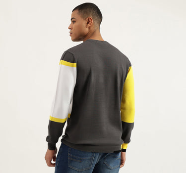 Regular Fit Crew Neck Color Block Pullover