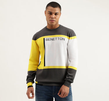 Regular Fit Crew Neck Color Block Pullover