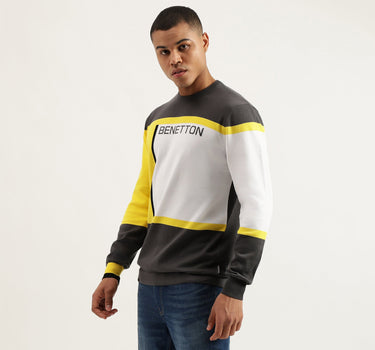 Regular Fit Crew Neck Color Block Pullover