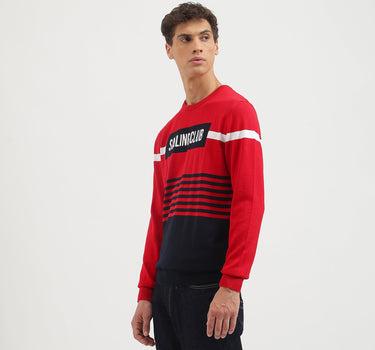 Regular Fit Crew Neck Striped Pullover