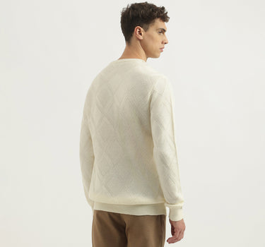 Regular Fit Round Neck Textured Sweater