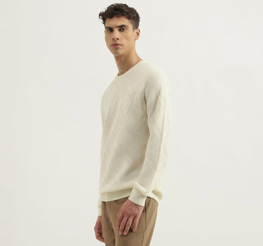 Regular Fit Round Neck Textured Sweater