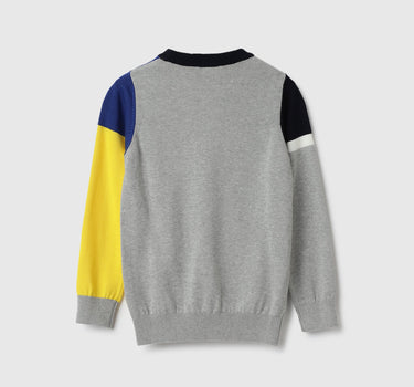 Regular Fit Round Neck Colorblock Sweatshirts