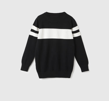 Regular Fit Round Neck Color Block Pullover