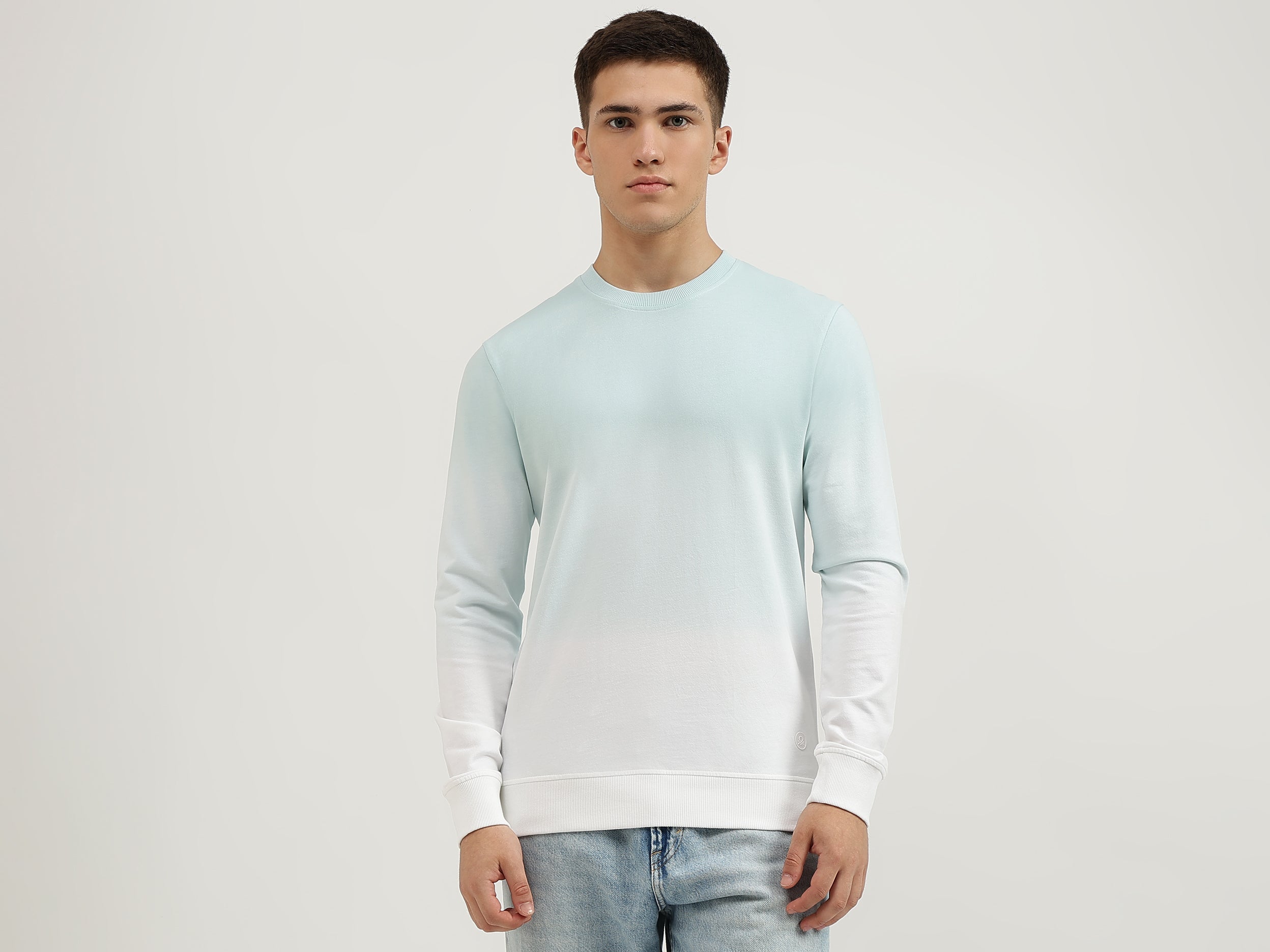 Regular Fit Crew Neck Ombre Sweatshirt