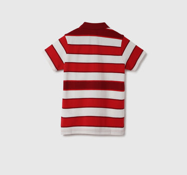 Regular Fit Collared Striped Polo T-Shirt