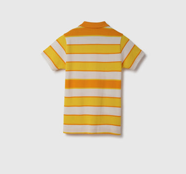 Regular Fit Collared Striped Polo T-Shirt