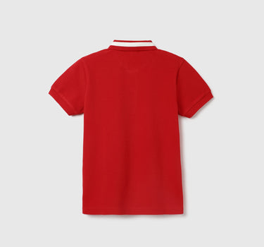 Regular Fit Collared Solid Polo T-Shirt