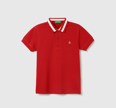 Regular Fit Collared Solid Polo T-Shirt