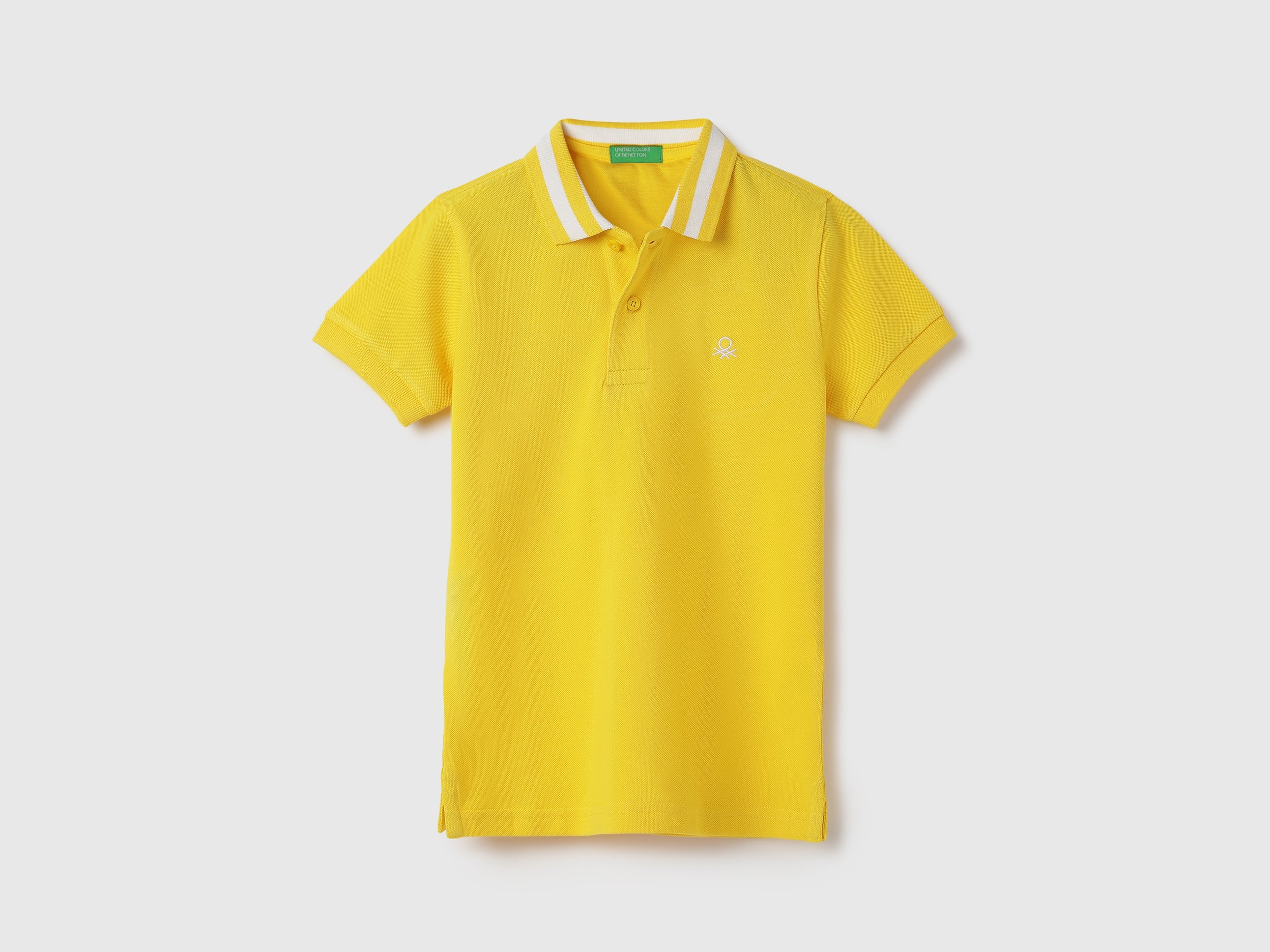 Regular Fit Collared Solid Polo T-Shirt