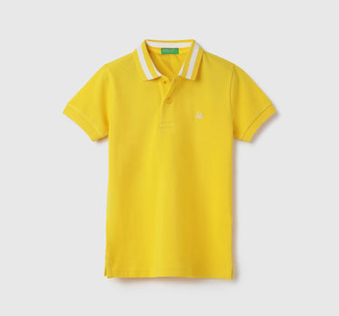 Regular Fit Collared Solid Polo T-Shirt