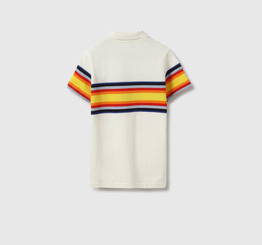 Regular Fit Polo Neck Striped Tshirt