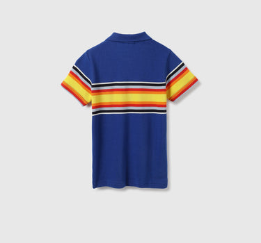 Regular Fit Polo Neck Striped Tshirt