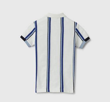 Regular Fit Polo Neck Striped Tshirt