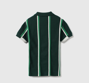 Regular Fit Polo Neck Striped Tshirt