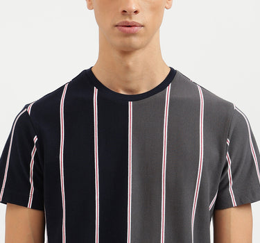 Regular Fit Crew Neck Striped T-Shirt