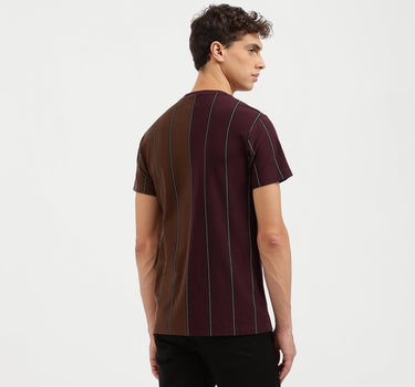 Regular Fit Crew Neck Striped T-Shirt