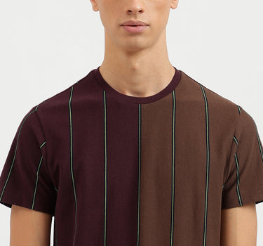 Regular Fit Crew Neck Striped T-Shirt