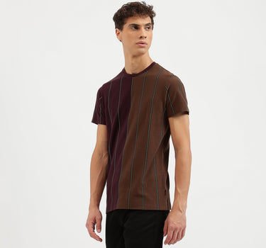 Regular Fit Crew Neck Striped T-Shirt