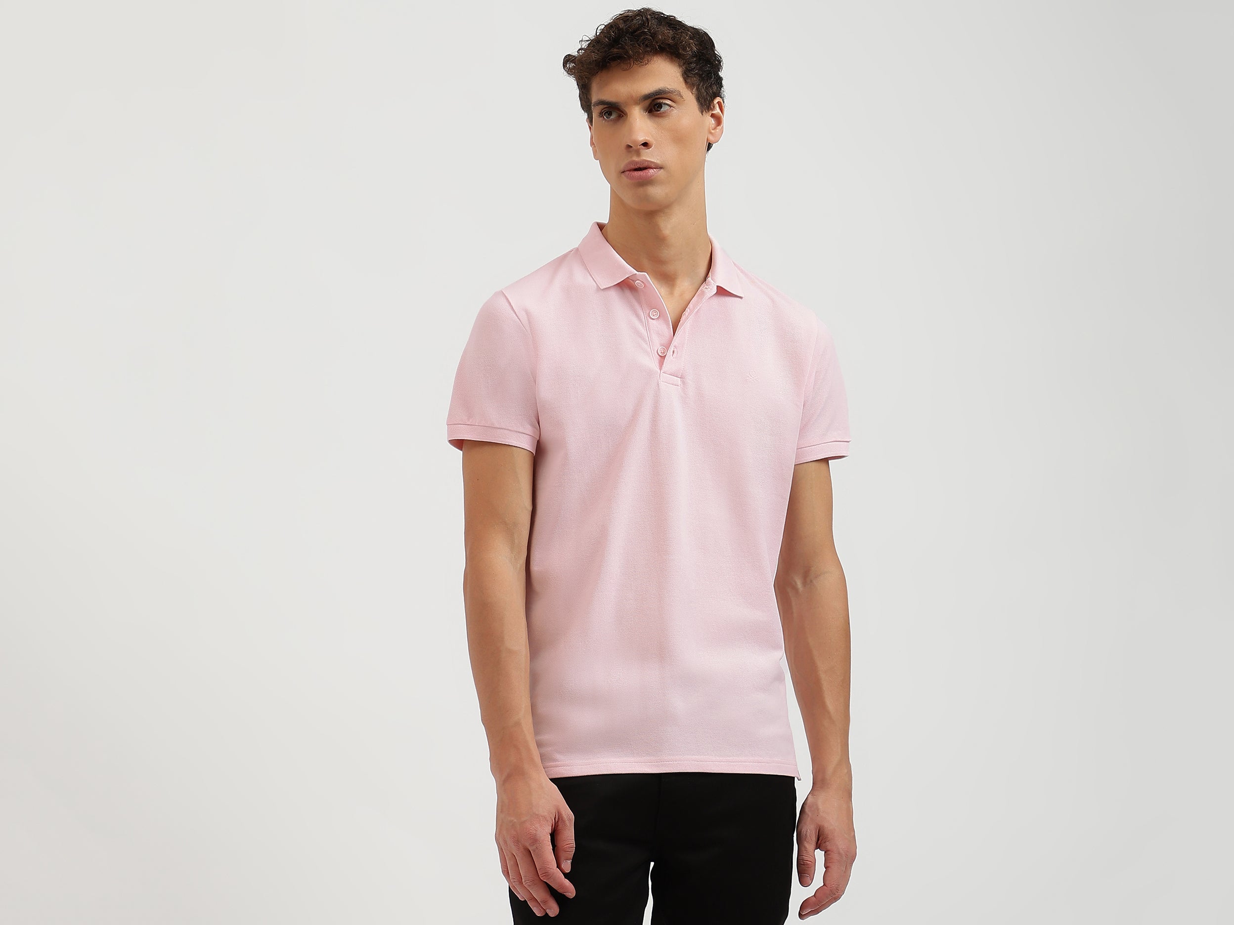 Regular Fit Collared Solid Polo T-Shirt