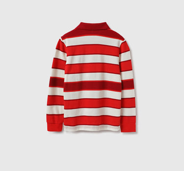 Regular Fit Polo Neck Striped Tshirt