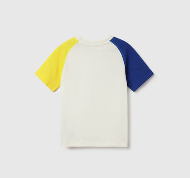 Relaxed Fit Crew Neck Color Block T-Shirt