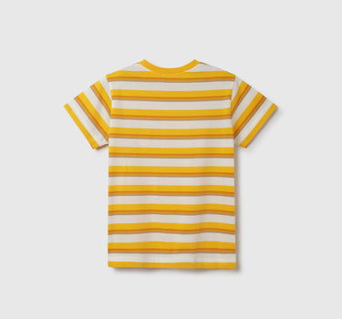 Regular Fit Crew Neck Striped T-Shirt