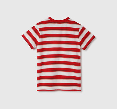 Regular Fit Crew Neck Striped T-Shirt