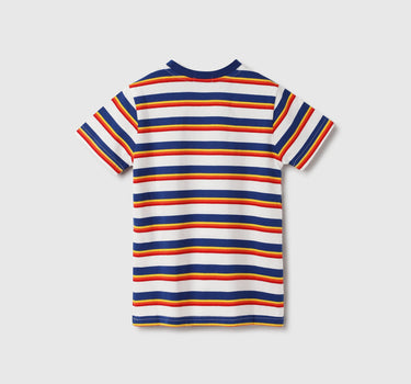 Regular Fit Crew Neck Striped T-Shirt