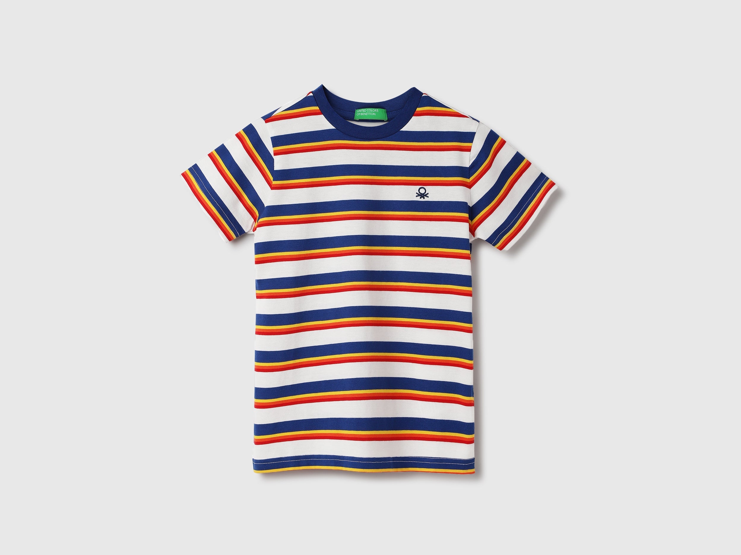 Regular Fit Crew Neck Striped T-Shirt