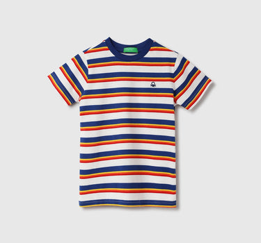 Regular Fit Crew Neck Striped T-Shirt