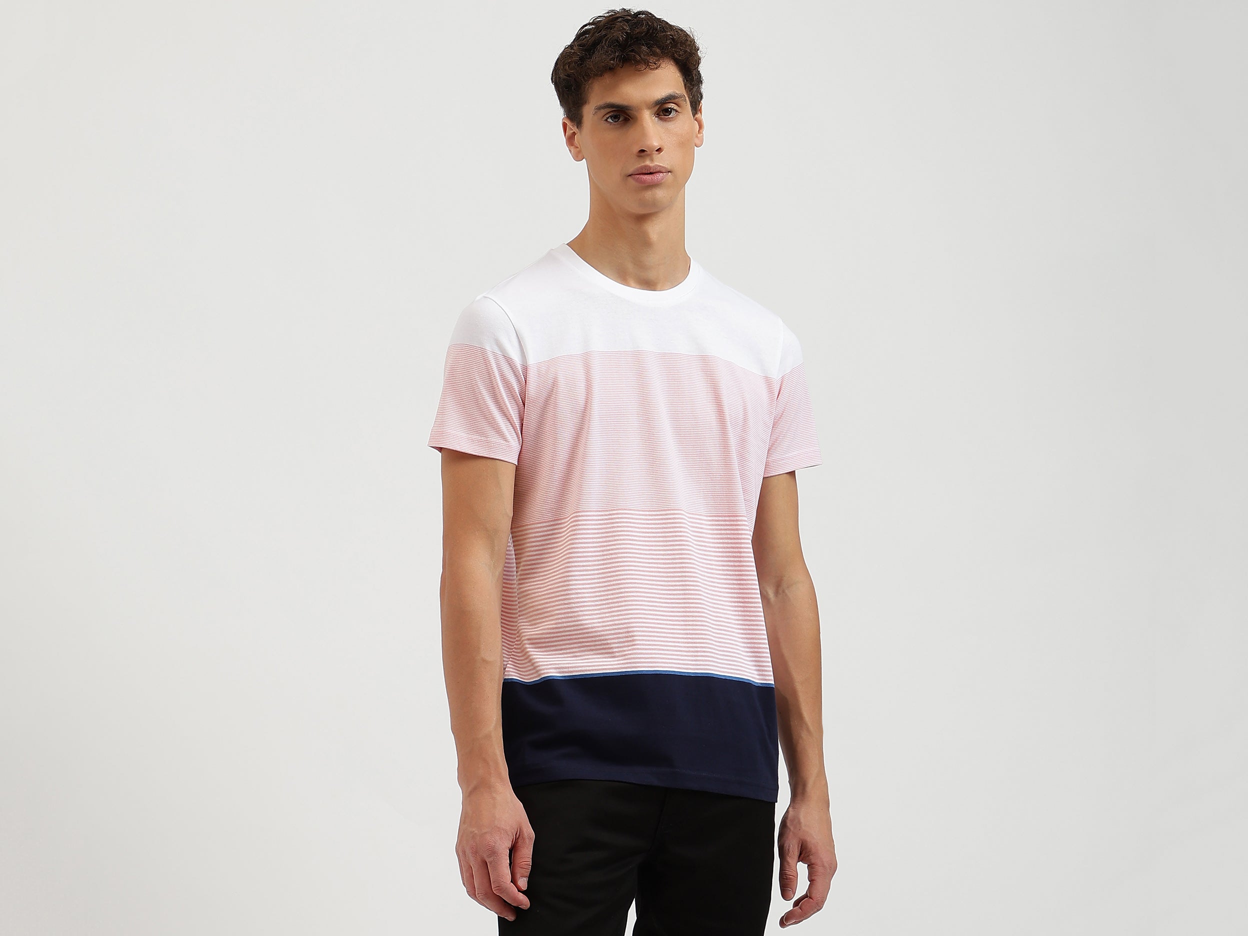 Regular Fit Crew Neck Striped T-Shirt