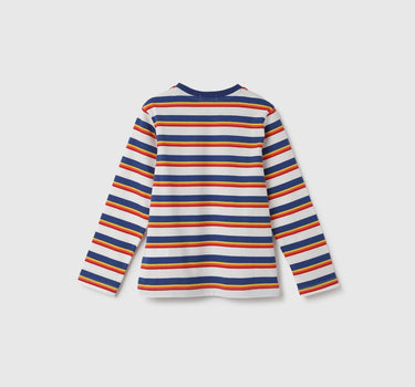 Regular Fit Crew Neck Striped T-Shirt