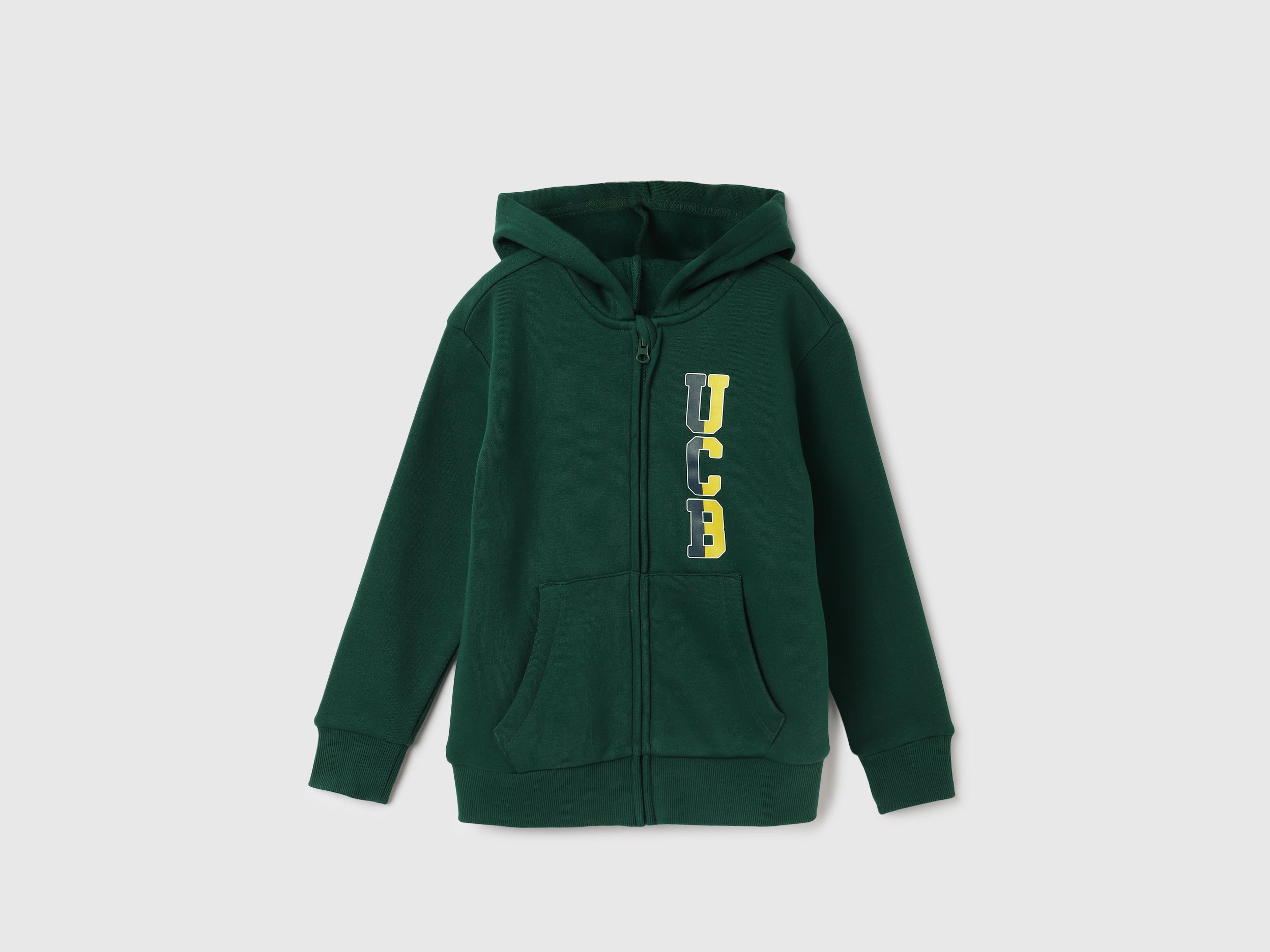 Regular Fit Hooded Neck Printed Hoodie