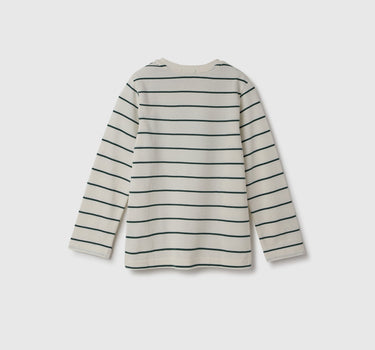 Regular Fit Crew Neck Striped T-Shirt