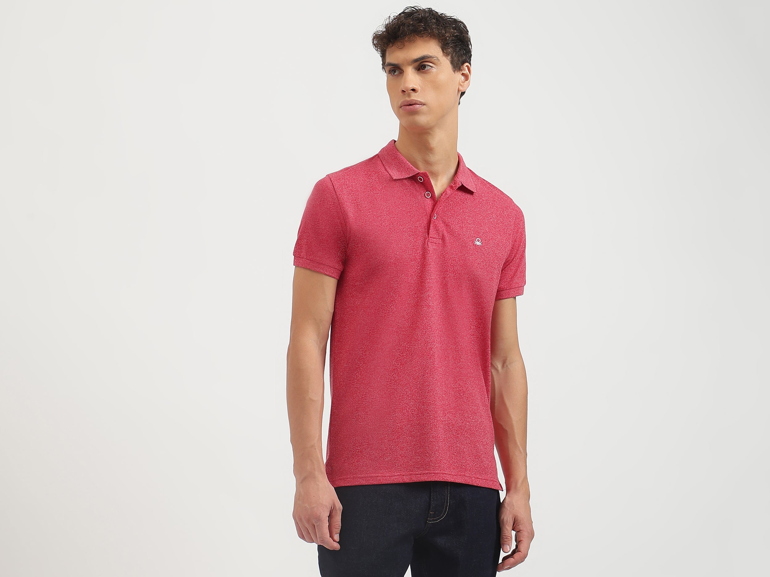 Regular Fit Collared Solid Polo T-Shirt