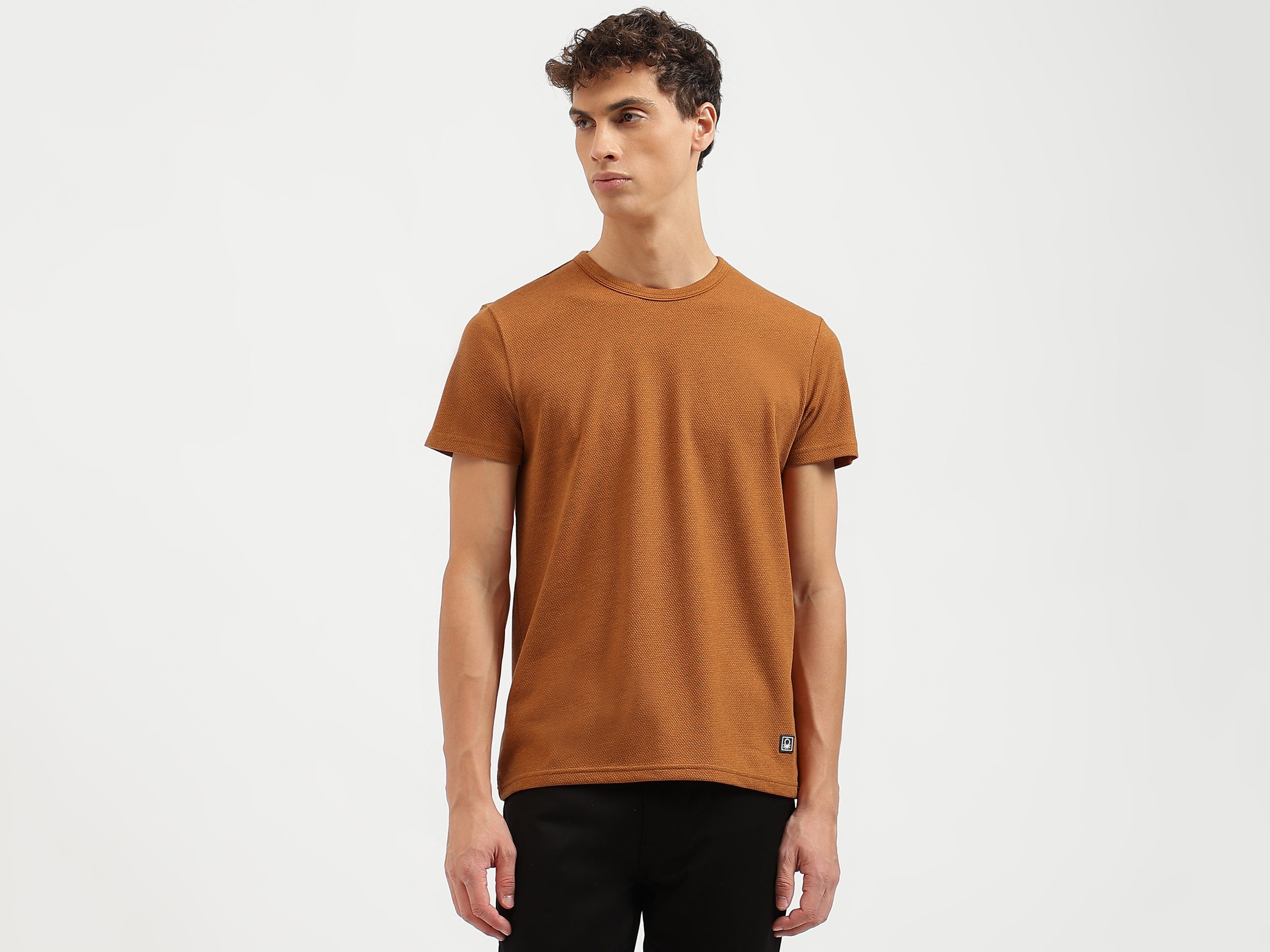 Regular Fit Crew Neck Solid T-Shirt