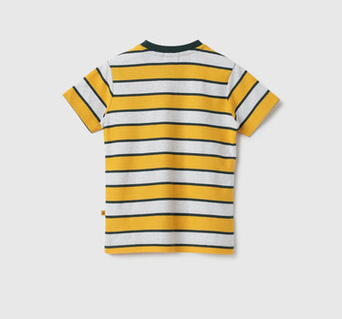 Regular Fit Round Neck Striped Tshirt