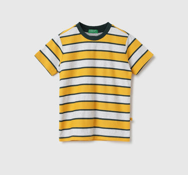 Regular Fit Round Neck Striped Tshirt