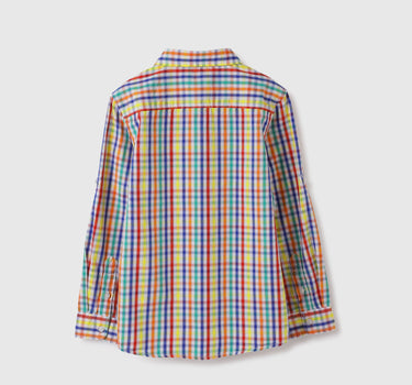 Regular Fit Spread Collar Checkered Shirts