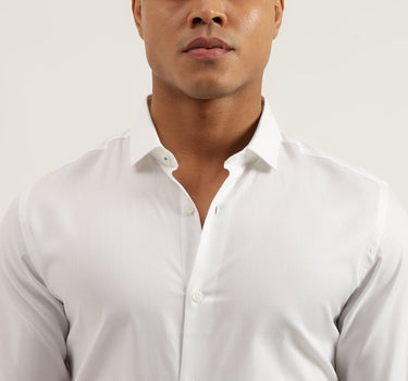 Slim Fit Cut Away Solid Shirts