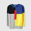 Boys Regular Fit Round Neck Colorblock Sweatshirt