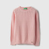 Regular Fit Round Neck Textured Sweater