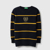 Boys Regular Fit Round Neck Knitted Sweater