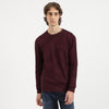 Men Regular Fit Crew Neck Textured Tonal Jacquard Sweater
